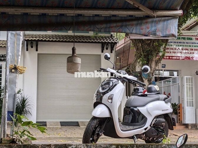 bán xe scoopy 2025