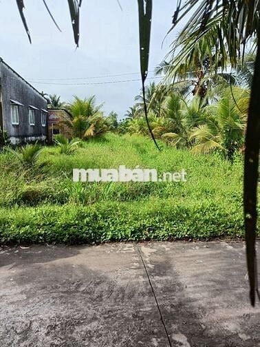 Đất sổ đỏ 641.9m2 Phước Hậu, Tam Phước, Châu Thành, Bến Tre