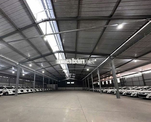 Cần cho thuê gấp kho diện tích lớn lên đến 1200m2 ở Nguyễn Văn Quỳ