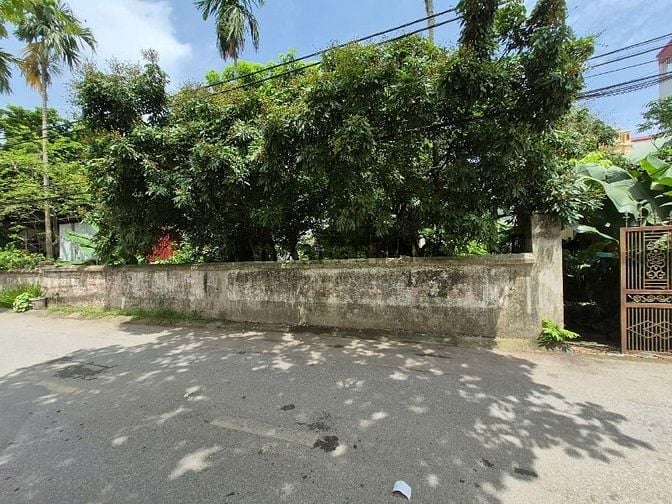 Cần bán đất trong Làng Yên Mỹ, xã Thanh Trì, Hà Nội