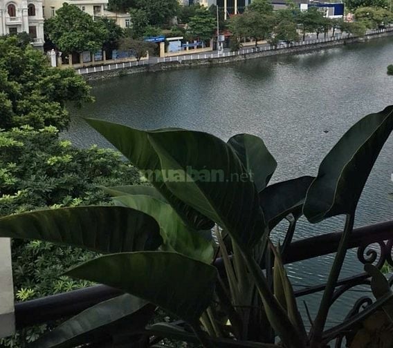 bán đất mặt hồ Bồ Đề Long Biên