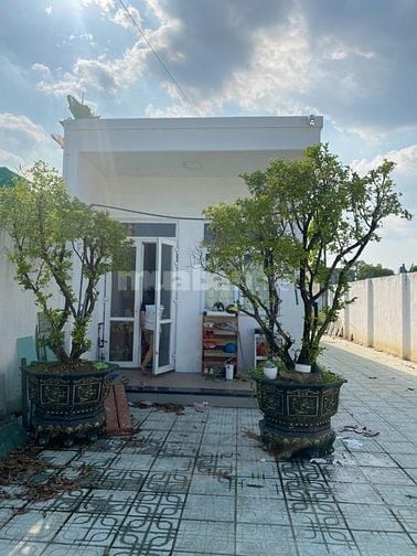 Cho thuê nhà vườn 1650m2 Củ Chi