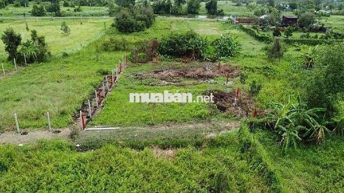 Bán Đất 500m2 Ngay Võ Văn Bích Bình Mỹ Củ Chi