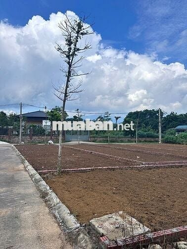 Đất full thổ cư ngay lõi đô thị Hòa Lạc