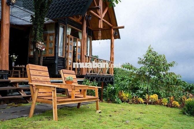 Trốn phố, tìm mây – sở hữu ngay 1000m² đất nền nghỉ dưỡng tại Bảo Lâm