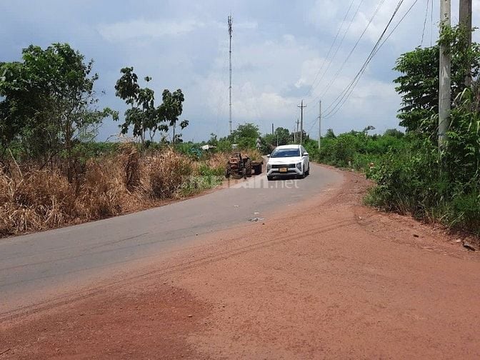 Bán 15.000m2 đất trồng cây lâu năm tại xã Cây Gáo, Trảng Bom, Đồng Nai