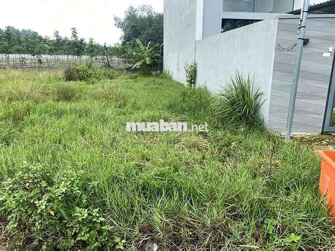 CHÍNH CHỦ CẦN BÁN NỀN MẶT TIỀN THỔ CƯ HOÀ LỢI BÌNH DƯƠNG