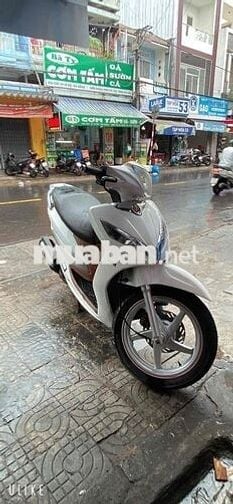 Shark mới ken