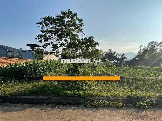 TÁI ĐỊNH CƯ VAI RÉO ĐƯỜNG RỘNG VỈA HÈ RỘNG HẠ TẦNG ĐỒNG BỘ PHÚ CÁT QO