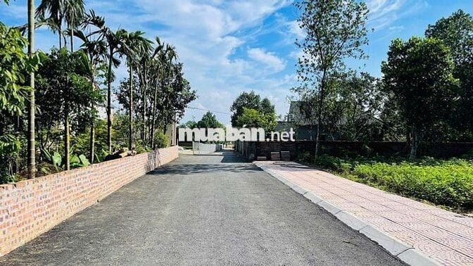 Cần bán lô đất 142m2 làn 2 DH09 tại Thôn 3 - Phú Cát chỉ 32tr/m2