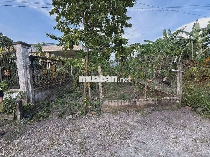 Bán Đất Củ Chi : 5x29 - 100% Thổ Cư - Tân An Hội. Giá 980 triệu