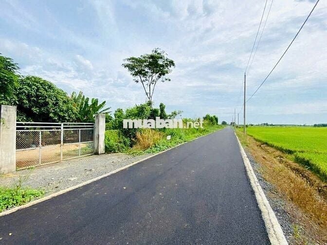 Bán đất tại Xã Láng Dài, Long Đất, Bà Rịa Vũng Tàu, 24 tỷ, 8000 m2