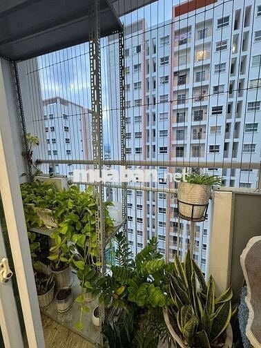 BÁN CĂN HỘ HOÀNG QUÂN (ĐÃ CÓ SỔ)