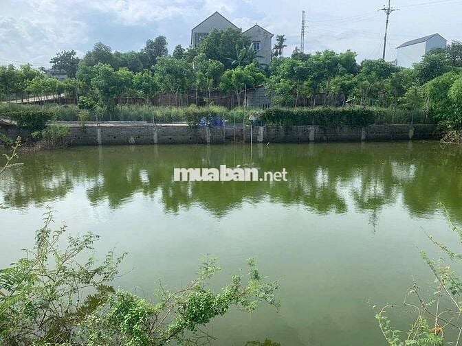 CC BÁN 2LÔ ĐẤT VIEW HỒ TOÀN PHẦN TẠI THÔN HÒA TRÚC XÃ PHÚ CÁT HÀ NỘI