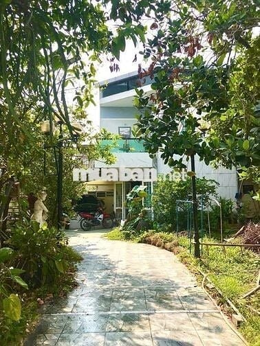 Gần 300m2 đất+🏡Nhà cây xanh lá vườn🍀hẻm xe hơi🚙 hiếm, đẹp‼️13,9 tỷ