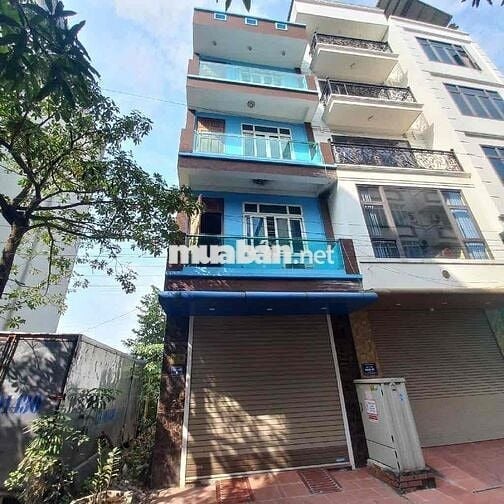 DV gốc găng man bồi - bala - hà đông