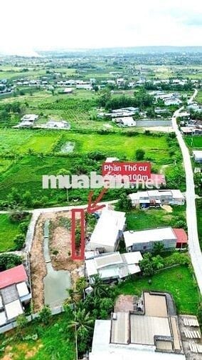 Bán vườn cây 993m thôn bình an Hàm chính,  QL28 có thổ cư