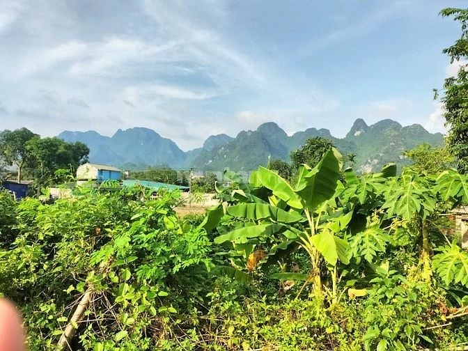 1260m ngay trung tâm thị trấn giá rẻ chỉ 3tr/m giá rẻ kim Bôi HB