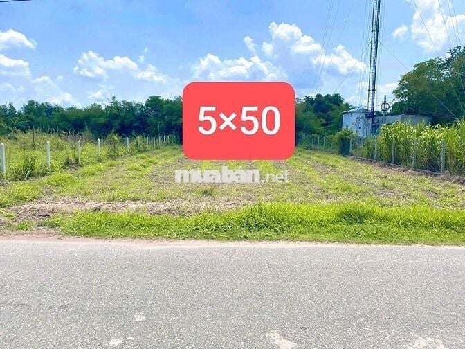 Lô đất thổ cư mặt tiền kinh doanh đường DH507, Bình Dương SHR.