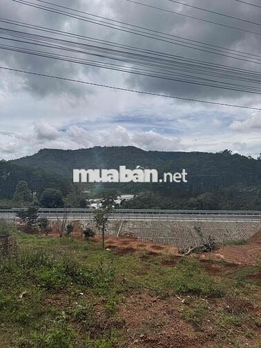 cần bán lô đất mặt tiền mimosa view rừng thông giá cực tốt đà lạt.