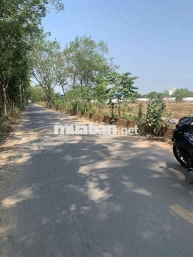 ĐẤT THỔ CƯ GIÁ RẺ TẠI HÒA LỢI BẾN CÁT TPHCM. GIÁ CHỈ HƠN 8 TRIẸU 1 M2