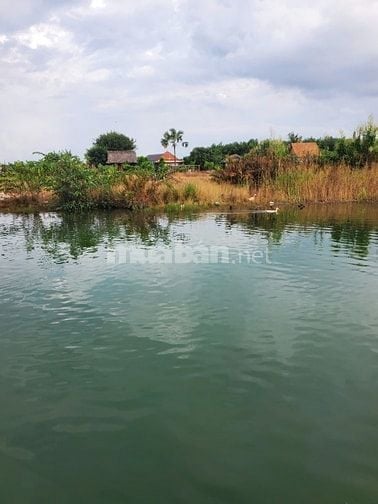 Cần bán 12169 m2 đất trồng cây lâu năm, thửa số 391  tờ bản đồ số 3,