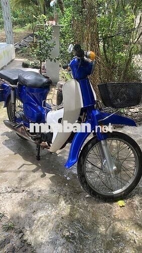 xe cub 50