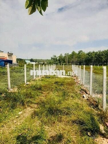 125M2 ĐẤT ĐẸP BÀ THIÊN NHUẬN ĐỨC ĐẦU TƯ HAY XÂY NHÀ ĐỀU LỢI NHUẬN CAO
