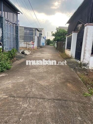 cần bán  5 x 28 sổ riêng cách QL1A 500m