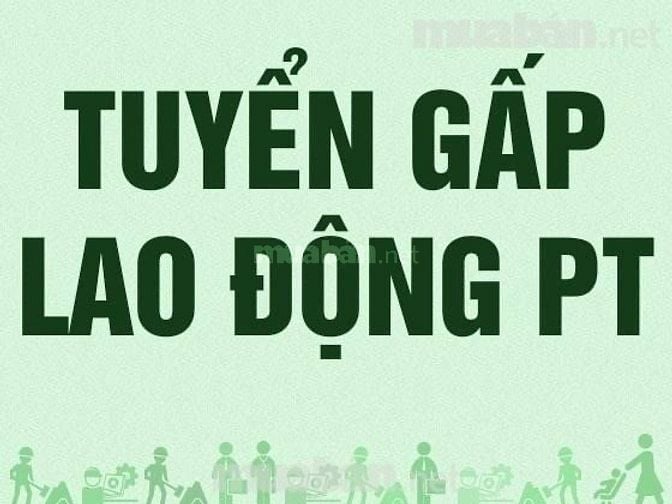  Cần ngay LĐPT đóng gói - kho hàng tiêu dùng nam/nữ (làm ca ngày)