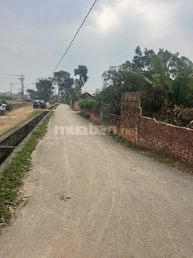 🔥 MỞ BÁN 9 LÔ F0 BÌA LÀNG NAM CƯƠNG, HIỀN NINH(XÃ NỘI BÀI), TP HÀ NỘI