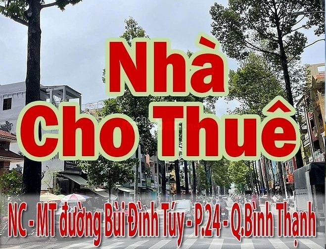 Cho Thuê Nhà NC - MT Bùi Đình Túy P.24 Q.Bình Thạnh - dt:4x20m + lửng