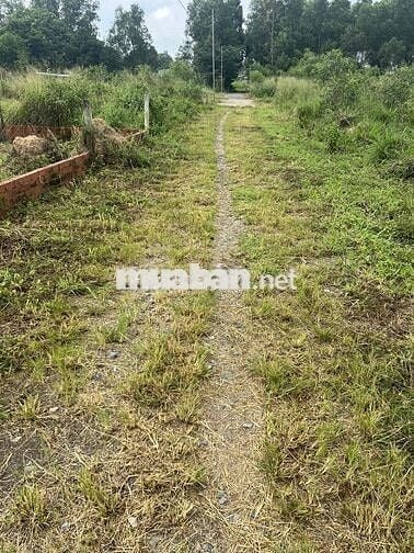 dsh vĩnh thanh Nhơn trạch Đồng nai
