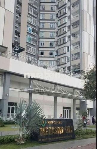 CHO THUÊ CC THE EAST CITY 2 PN GIÁ RẺ ĐƯỜNG PHAM HÙNG XÃ BÌNH CHÁNH