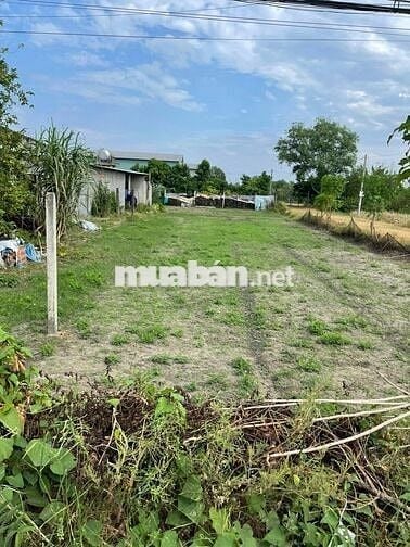 KẸT TIỀN, CẦN BÁN 2 LÔ CẶP BÀU TRE, TÂN AN HỘI, 650TR/LÔ, SHR