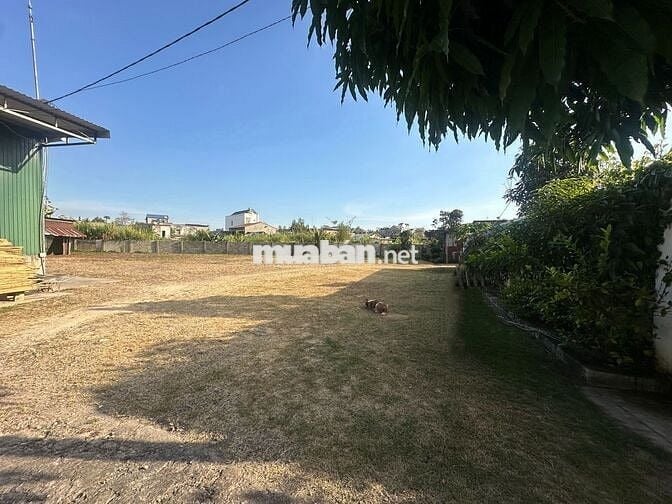 NHÀ XƯỞNG, MẶT BẰNG KINH DOANH