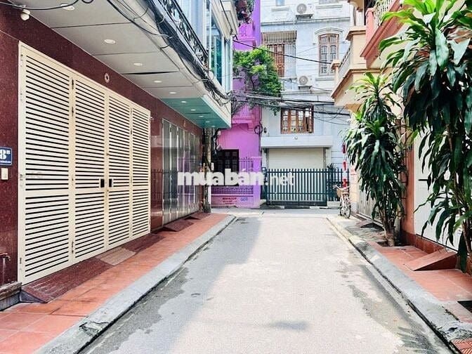 Phố hiếm Liễu Giai, phân lô, ô tô vào nhà, 51m, mặt tiền 4.3m, chỉ 20