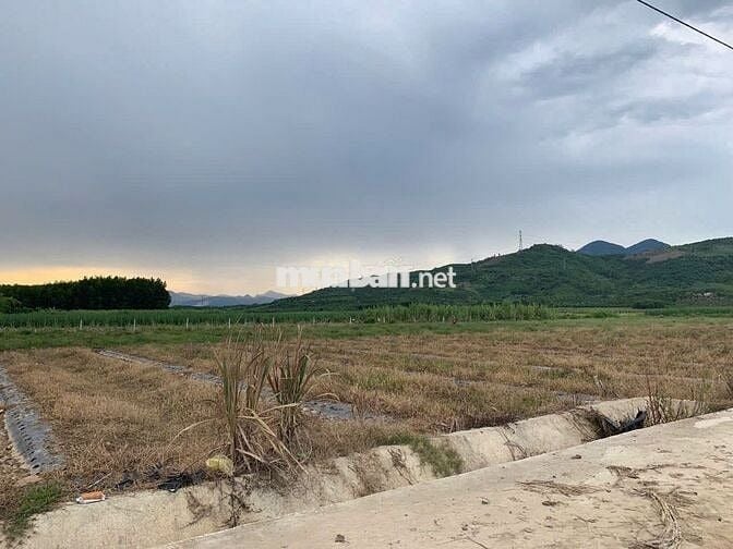 Bán nhanh lô đất 3 măt tiền cuôi đường Đồng Khởi - đầu Diên Lám