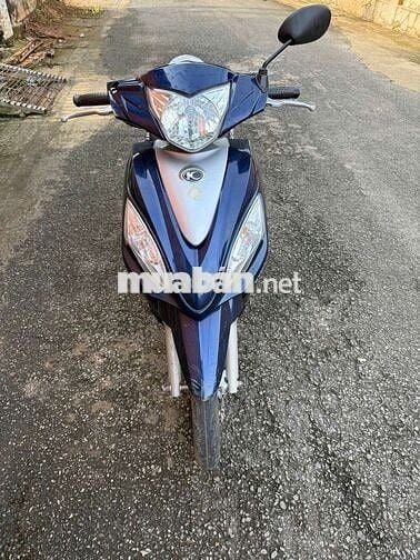 Tayga 50cc