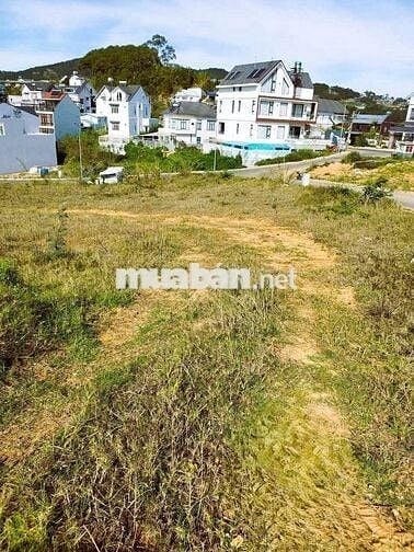 Bán Đất nền dự án tại An Sơn, Phường4, Đà Lạt. Diện tích: 278m2,14,2tỷ