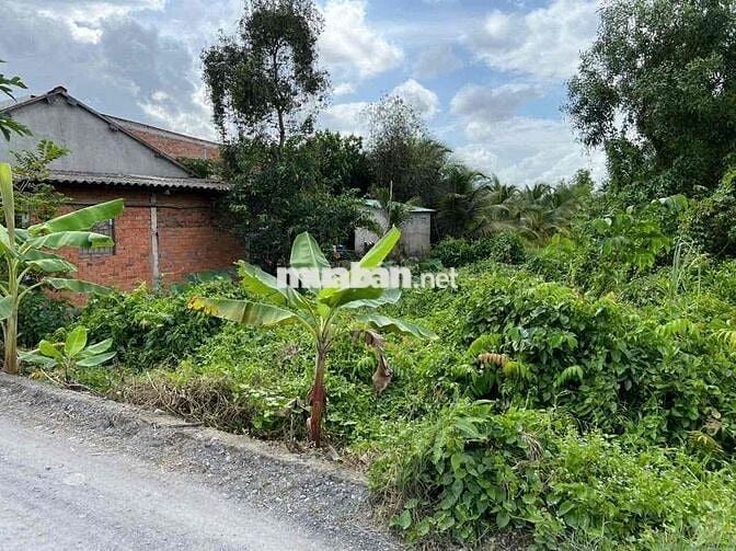 🔹 Chính chủ cần bán lô đất 851m thổ lúa xã Hựu Thạnh- Đức Hoà gần Đại