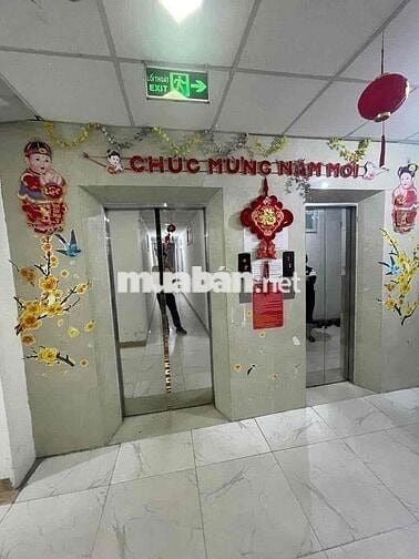 Bán 3 Căn CCMN Thoáng Xịn - Thanh Xuân, Hoàng Đạo Thành