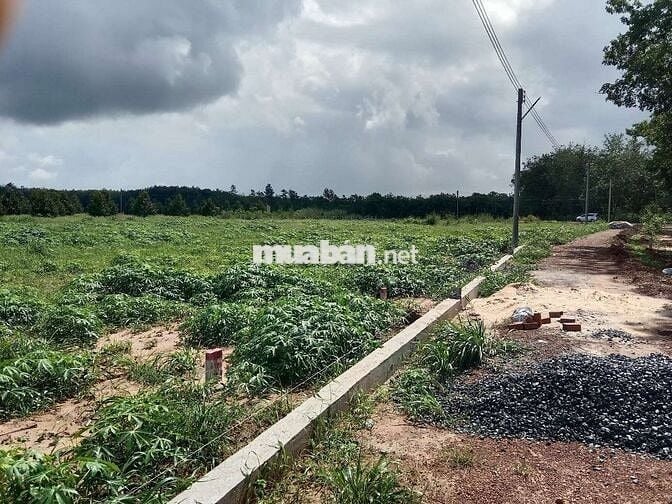 Chính chủ bán gấp đất 5x60m, sổ hồng riêng, thổ cư sẵn, cách chợ 500m