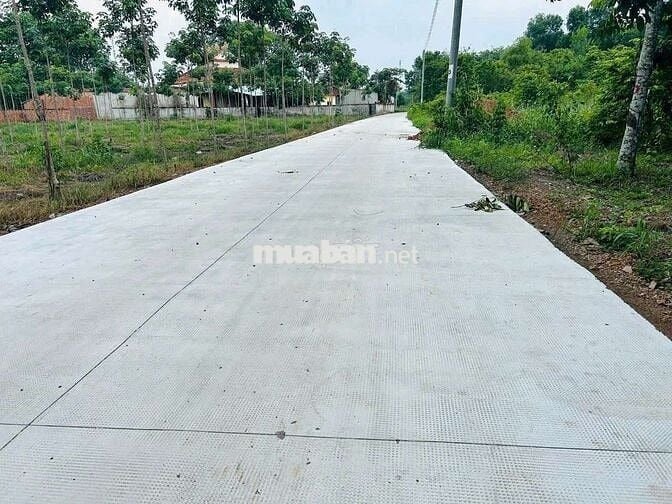 Bán lô đất ngang 23 x 50m gần chợ .
