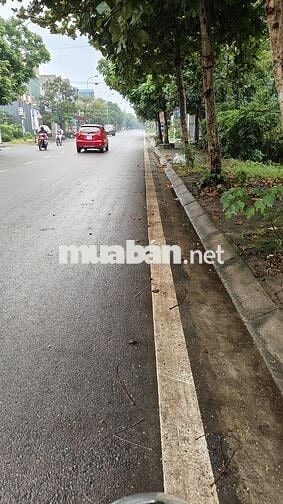 BÁN ĐẤT NỀN MẶT ĐƯỜNG CHÍNH CHỦ VŨ HỮU LỢI