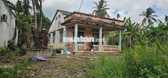 1.900m2 đất trong đó có 600m2 thổ cư có sẵn nhà cấp 4 đường xe hơi