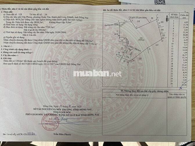 🏡CƠ HỘI ĐẦU TƯ HIẾM CÓ – 8.010m² ODT– TÂN PHONG - HÀNG GÒN- ĐỒNG NAI🏡