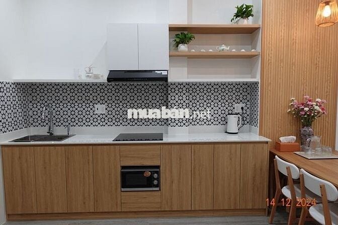 Cho thuê nhà ở Thủ Đức mới xây vị trí đẹp có chỗ đỗ xe hơi