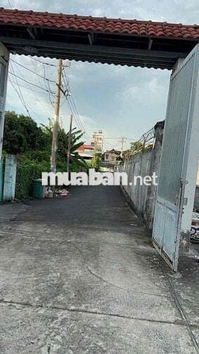 Đất trồng cây lâu năm 3.267,4m² đường an phú đông 9, P.An Phú Đông