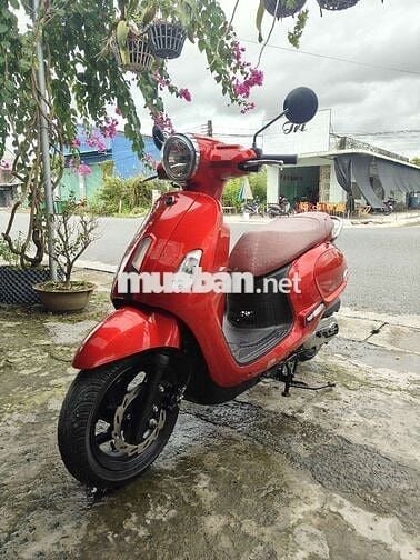 SYE ALTILA 50 DÀNH CHO HỌC SINH